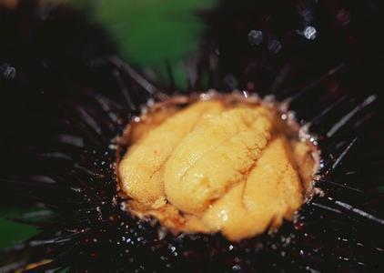 辽宁大连市城市排名,辽宁大连城市