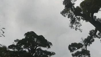 云南省普洱茶十大名茶,云南绿色食品十强评选办法