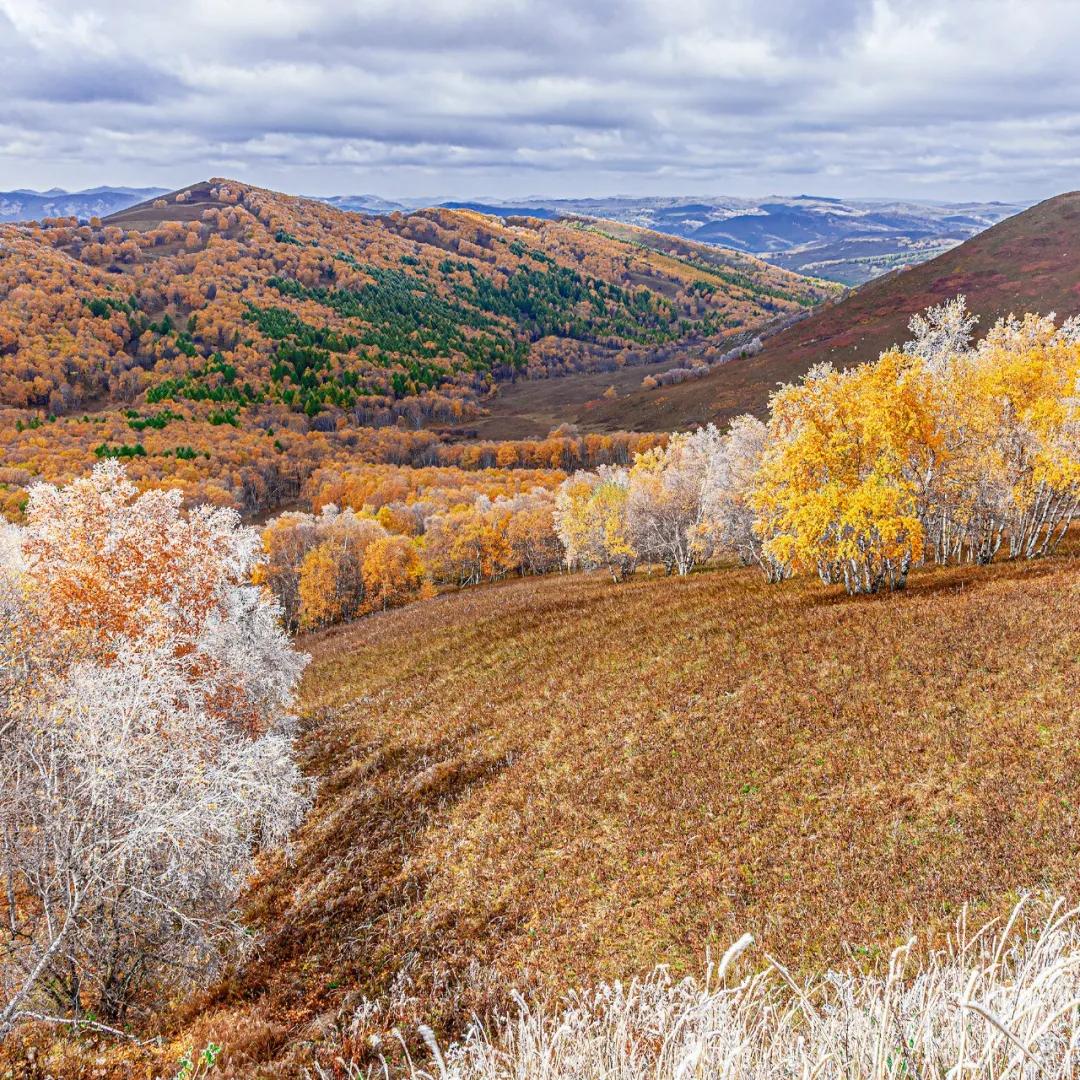 内蒙赤峰热吗,内蒙古赤峰冷不冷