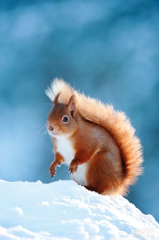 如何利用碎片化的时间学习常识,如何高效利用边角时间学习