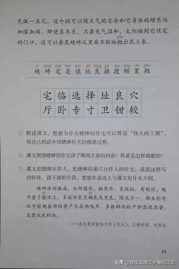 四年级上册语文电子课本,四年级上册语文课本内容