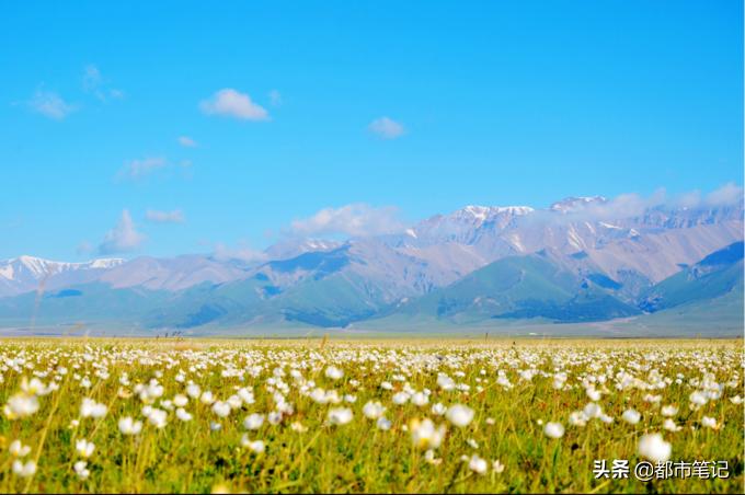 从新疆出发内地旅游省钱攻略,入疆旅游攻略