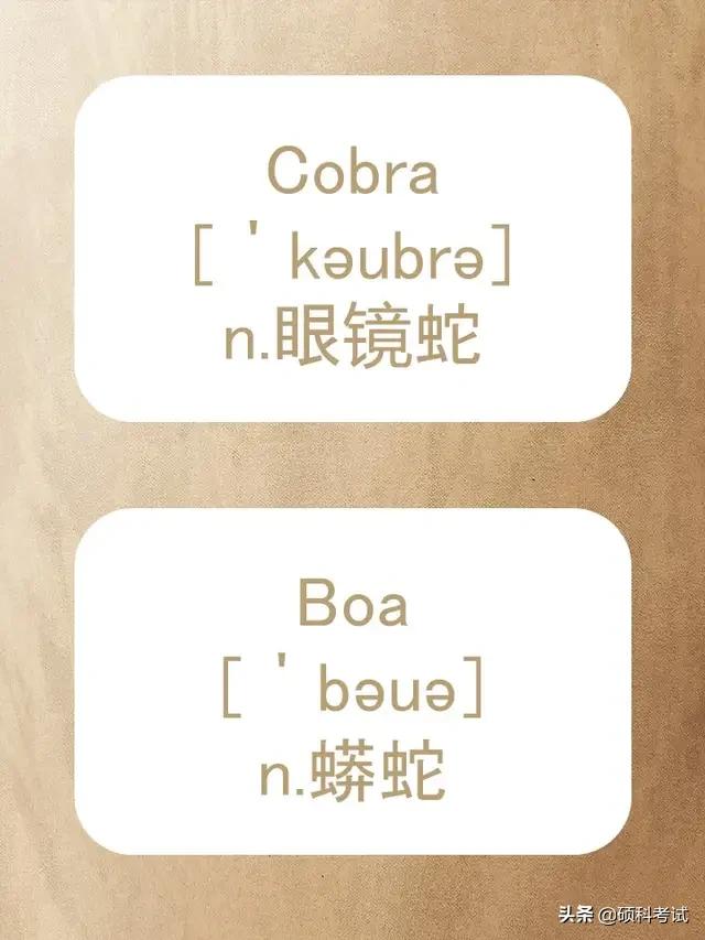 动物的英文拼写及音标,关于动物的单词及音标