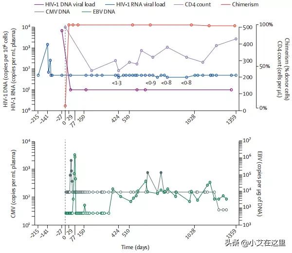 hiv免疫治愈案例,第三例hiv治愈案例