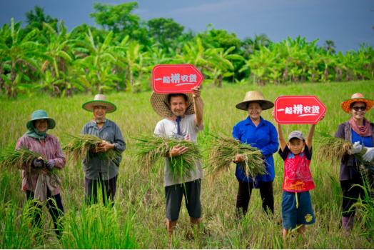 拼多多泰国榴莲尝鲜,泰国榴莲在拼多多上卖