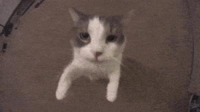 与你分享爱的故事,快来分享你和小伙伴之间的故事吧