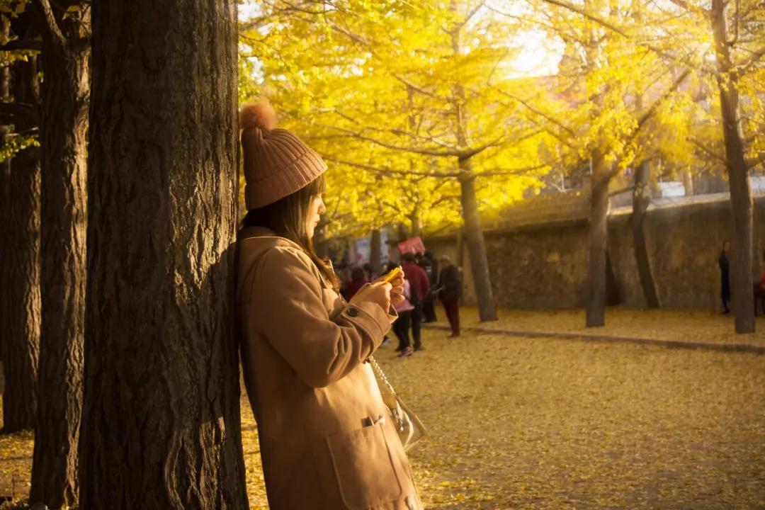 旅游三亚和厦门哪个更值得去,三亚和厦门哪个更值得去三亚旅游