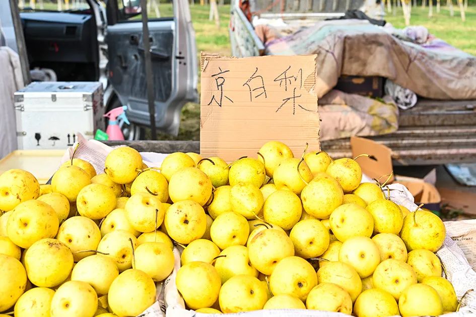 满满的烟火气逛大集真好玩,最值得逛的大集