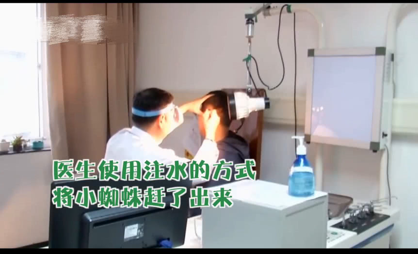 男子检查耳朵发现活蜘蛛,男子耳朵奇痒难忍竟是里面长霉了