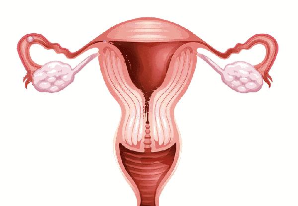 女人结扎哪里会有疤痕,女性结扎后多年结扎口有硬块