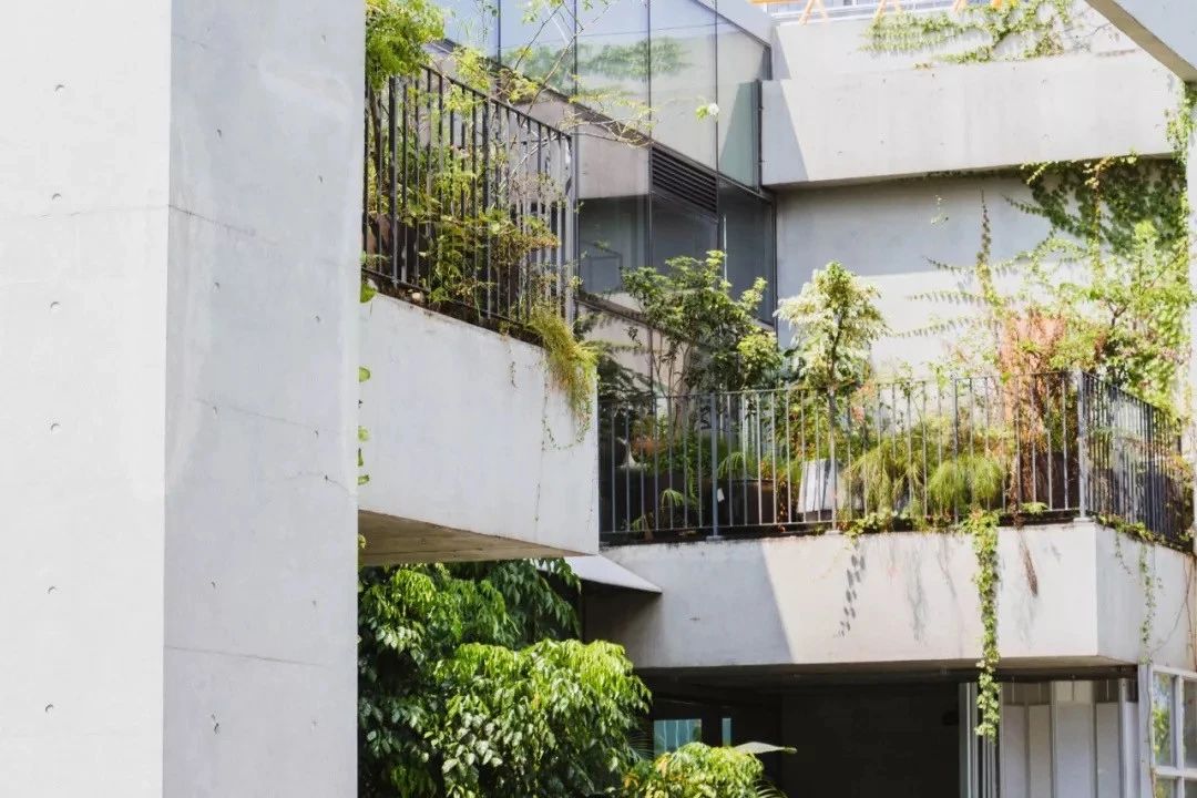 深圳夜晚小众打卡地景点,深圳十个小众打卡地