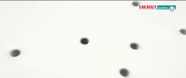 在欧美火了百年的乐卡露牙膏，专注对抗牙龈出血、牙齿敏感等问题