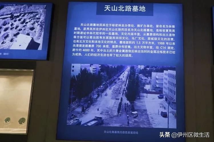 走进巴州博物馆,走进新疆博物馆