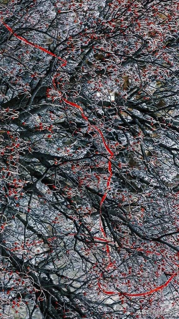 泰山美图100张,泰山云海美图