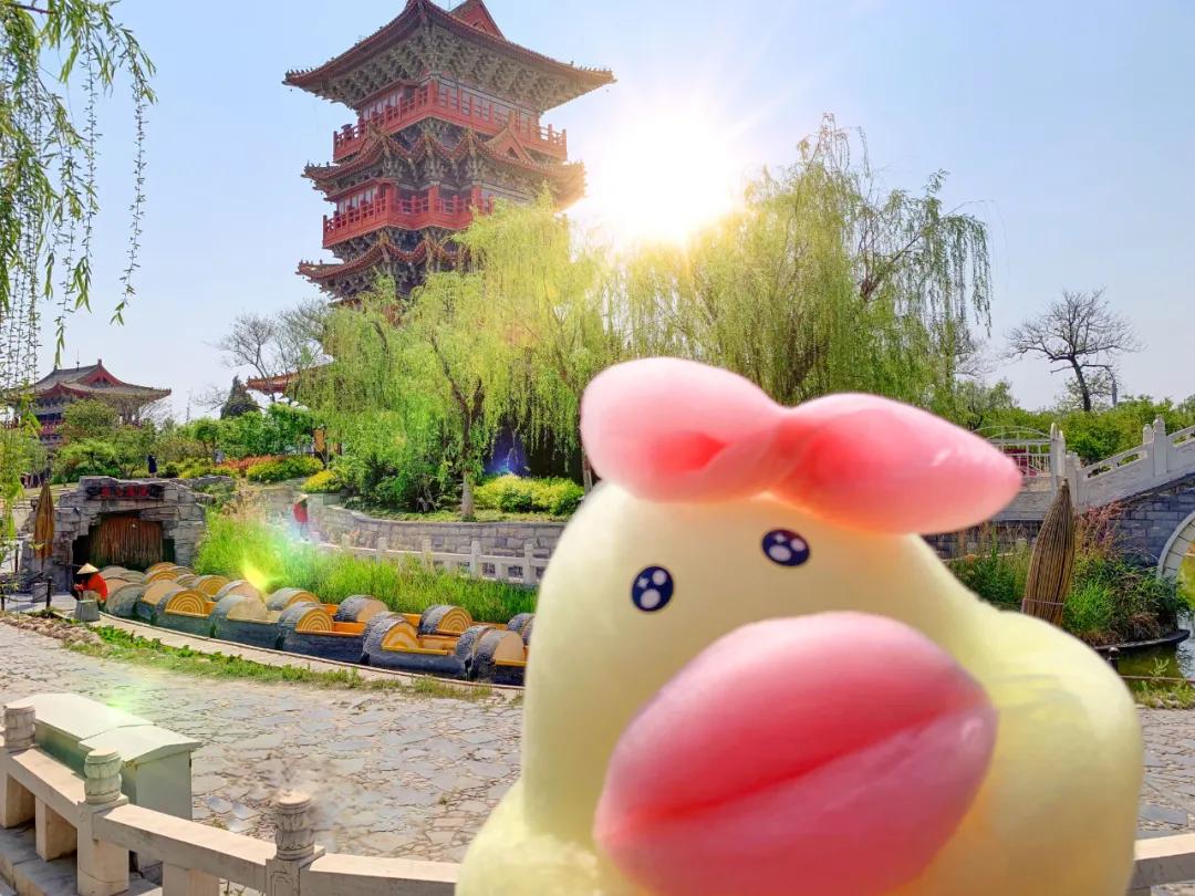 清明上河园终身年卡在哪里购买,清明上河园年票能升级终身票吗