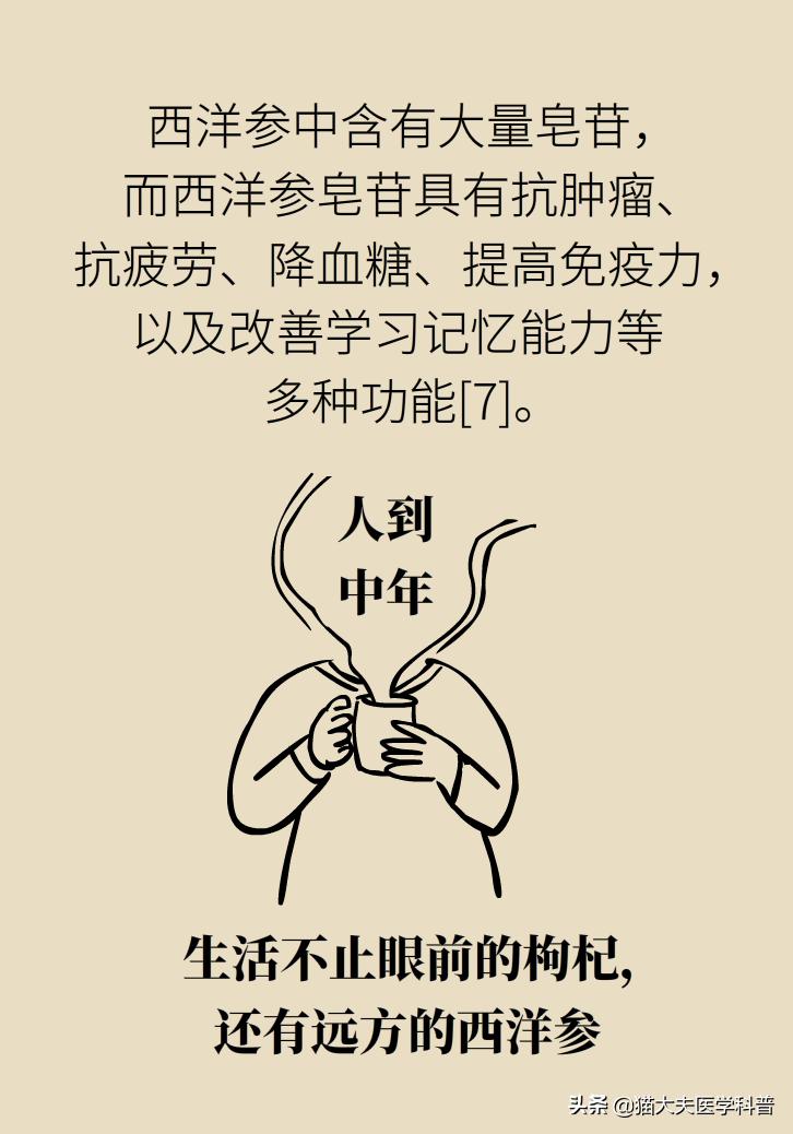 人参西洋参党参红参太子参的区别,人参红参太子参党参西洋参的区别