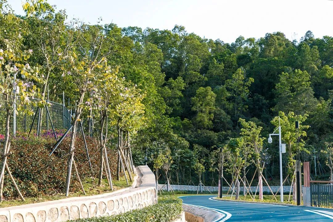 天下最美湖泊西湖,比西湖更美的湖泊