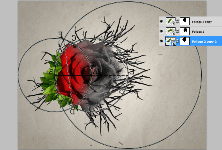 ps如何换花朵教程图解,ps怎么画枯萎的玫瑰