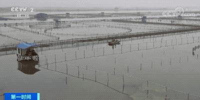 蟹逅红膏大闸蟹,蟹之逅大闸蟹怎么样