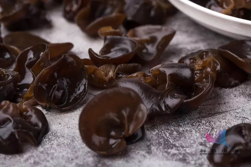 分享这种木耳千万不要吃小心中毒,吃木耳也会中毒谣言还是事实