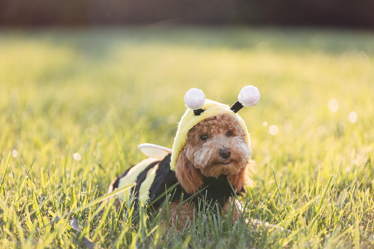 涓浗鍗佸ぇ鍚嶇姮,鑻卞浗鍚嶇姮鎺掕