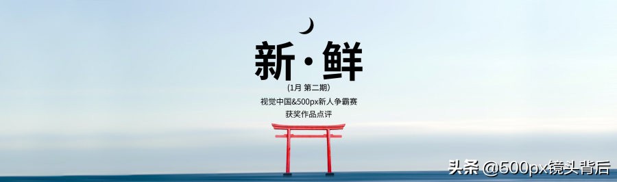 500px新人王公示,500px作品