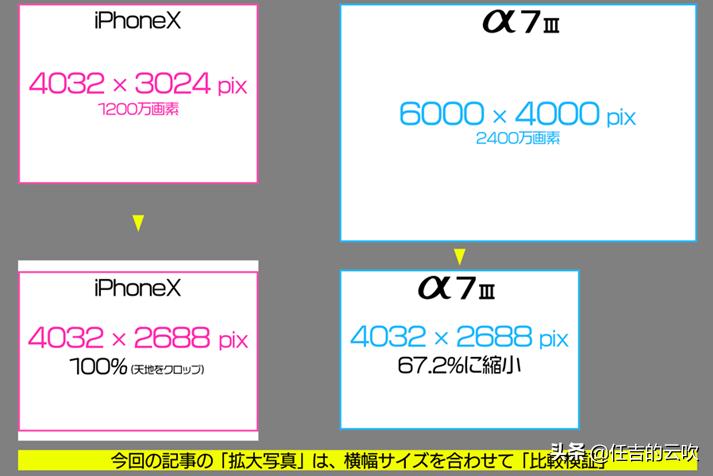 相机跟手机拍出来的照片差的大吗,相机跟手机拍照的差距