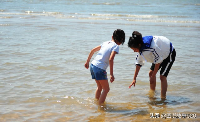 游玩北戴河南戴河东戴河哪个更好,北戴河南戴河东戴河哪的海最好