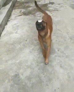 “你太低估了我的脚气，不知道还有没有救？”年轻总要付出代价