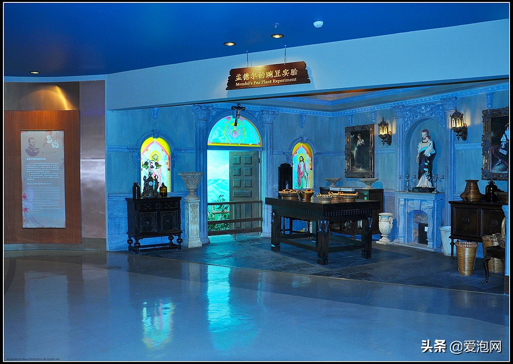 上海天文馆和科技馆哪个更值得去,上海自然博物馆和科技馆哪个好玩