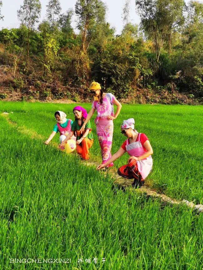 做把“村姑”，走进海南灯火灿烂的火龙果园