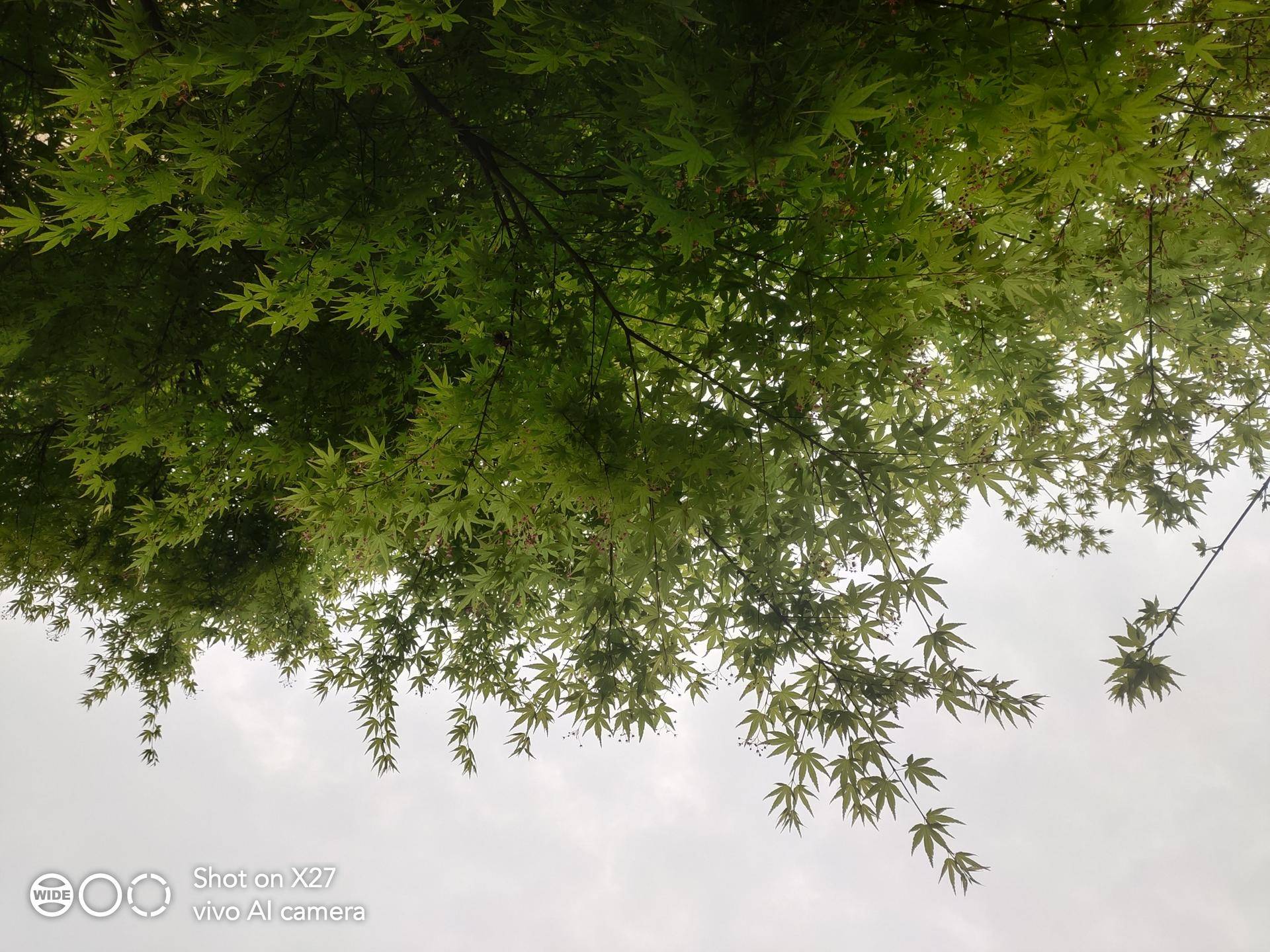 vivox27全面讲解,vivox27搭配零界全面屏设计