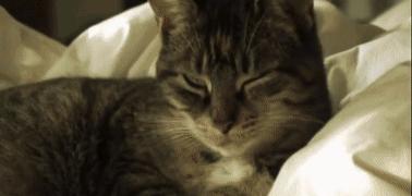 2027年人类会不会消失,2027年人类会消失吗