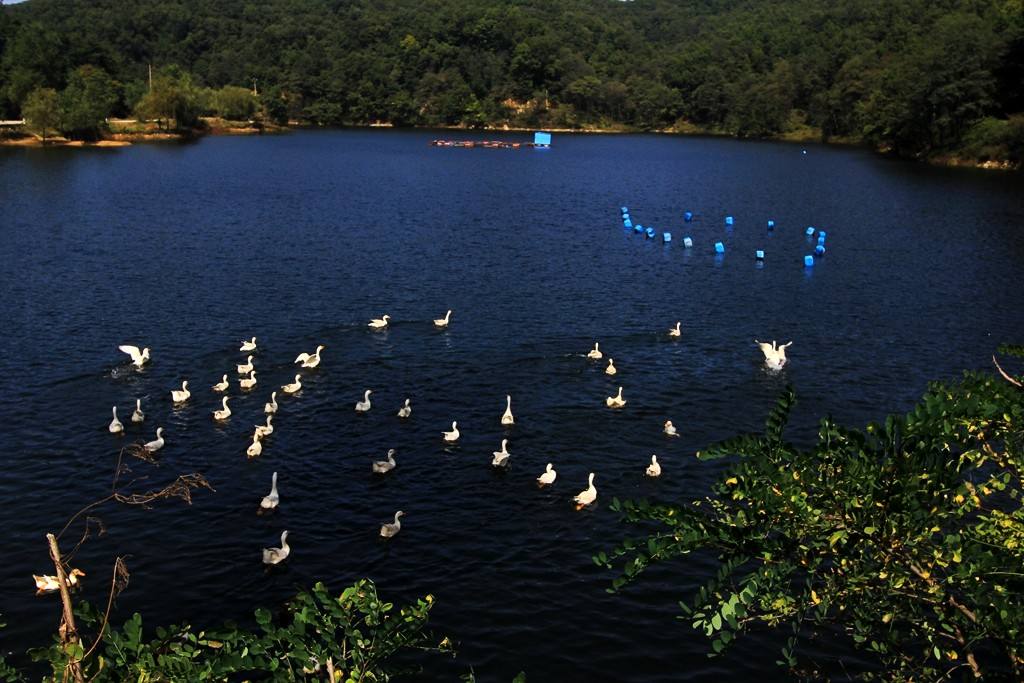 济南南部山区旅游景点排名前十名,济南南部山区必去十大网红景点