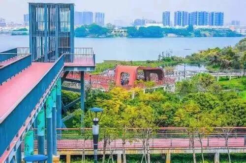 深圳免费公园哪里最好啊,深圳十大免费公园景点大全