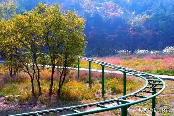 合肥景区免费景点,合肥旅游景点大全免费玩