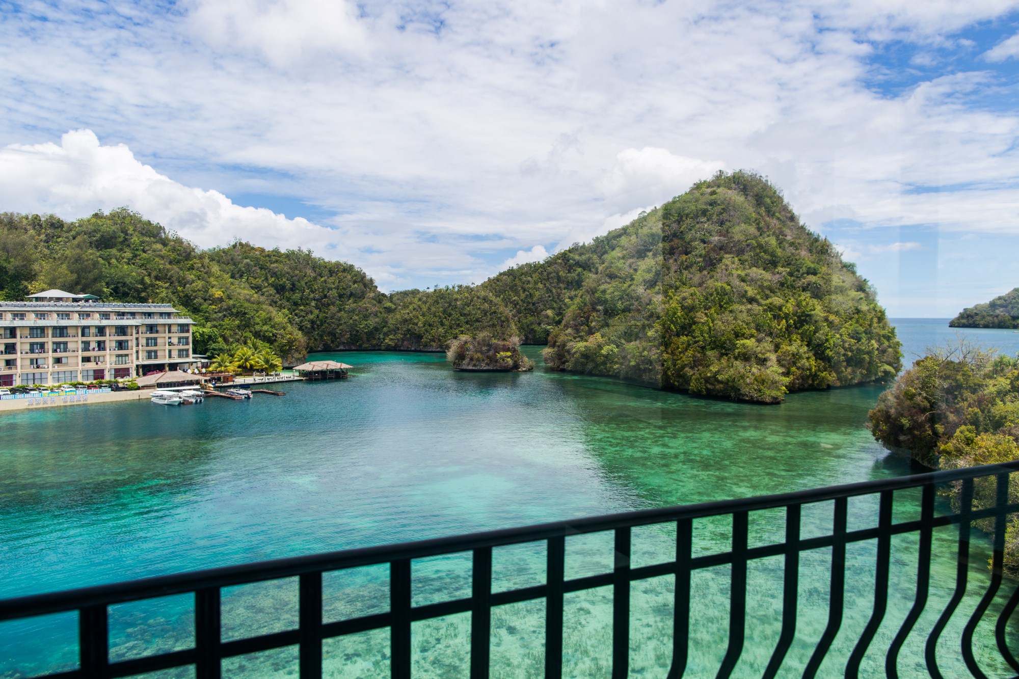 一定是特别的缘分——帕劳，再遇见「周若雪Patty」·上