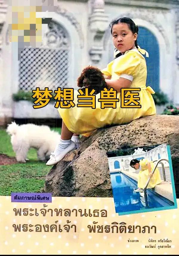 泰国公主帕查拉脱离危险,泰国长公主帕查拉的地位