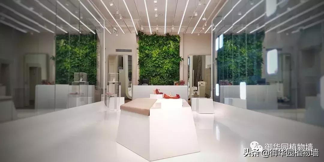 现代简约展厅绿植造型墙,仿真植物背景墙形象墙效果图