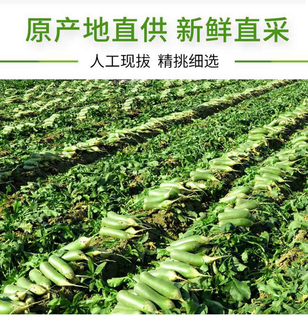 苏宁易购供应链服务,苏宁易购供应链战略