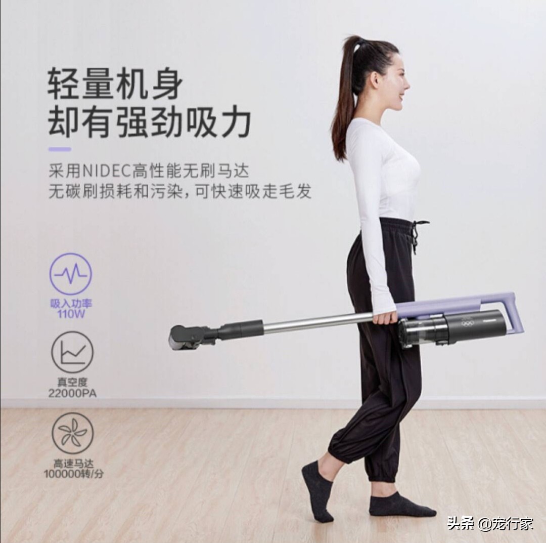 怎么处理猫毛最快最有效,处理猫毛的有效方法