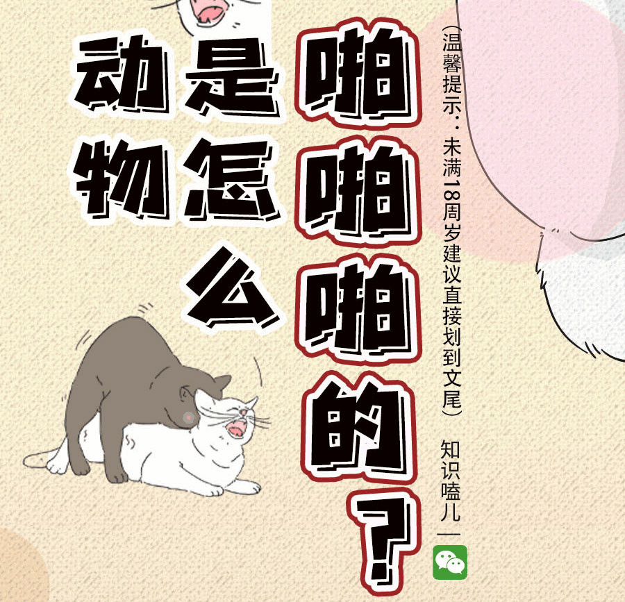 那些羞羞的事：动物是如何啪啪啪的？