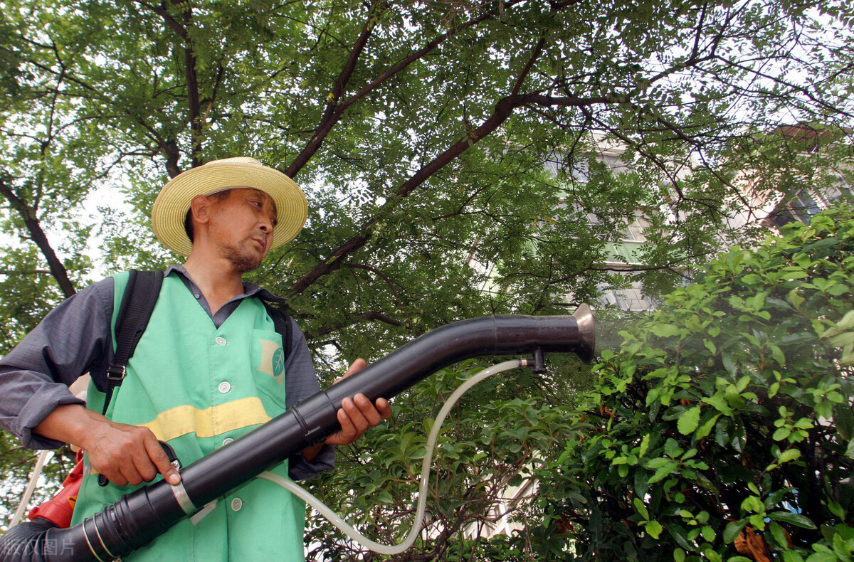 加强绿化养护管理工作,怎样抓好园林绿化管理