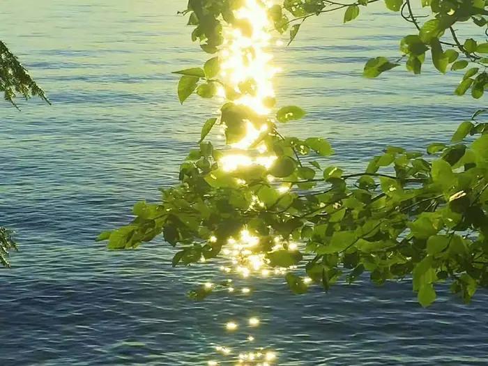 有种感觉叫心照不宣,有一种控制不住自己的感觉