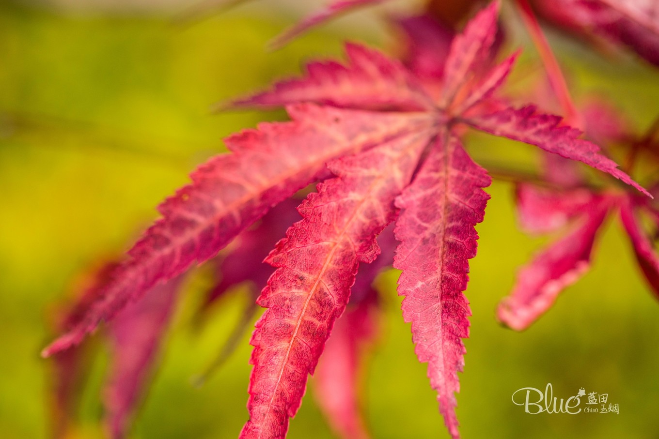 中国最美的大乘佛寺,最有灵性的古佛寺