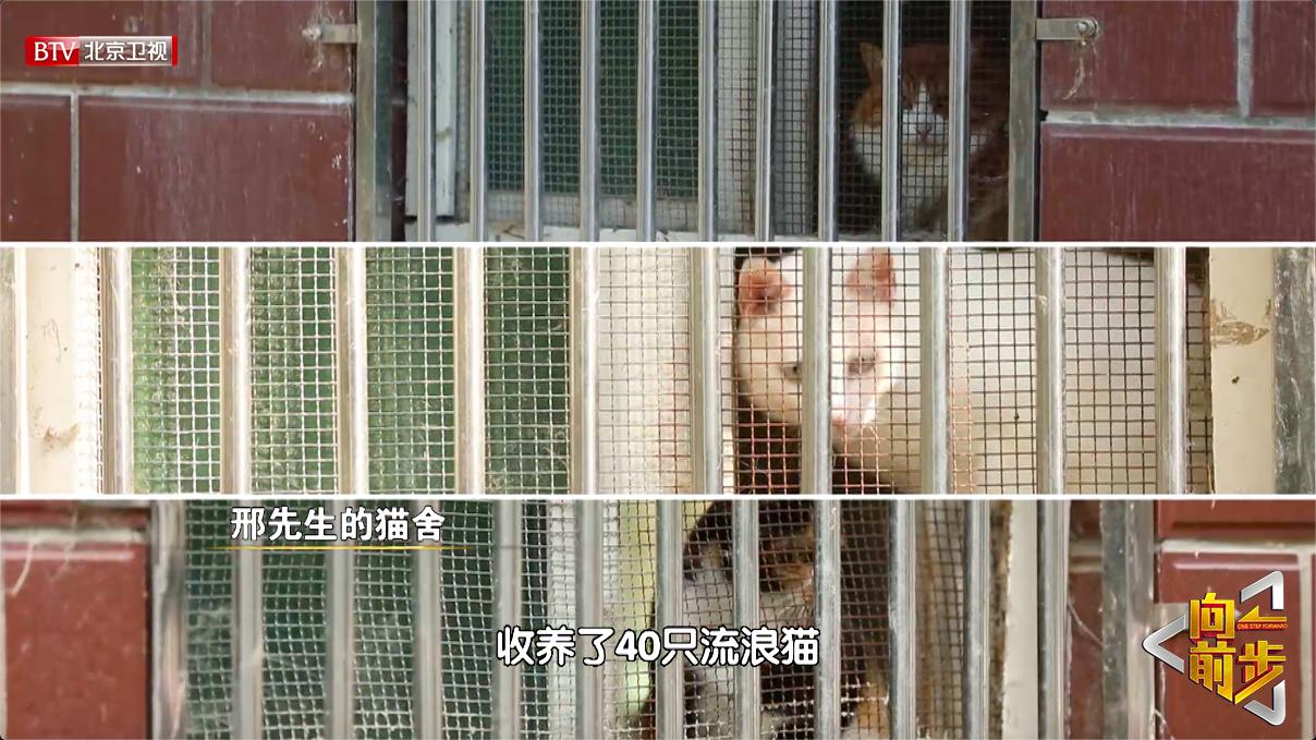 濂藉績鍏讳簡娴佹氮鐚嵈閬囦簡澶т簨,鍏绘祦娴尗鐨勫ソ蹇冧汉鐩樼偣