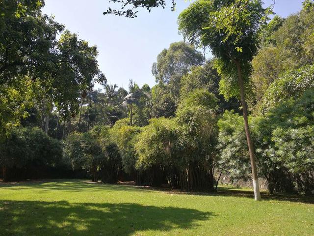 暨大华文学院港澳班,暨大华文校区