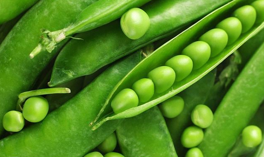 含钙的食物有哪些可以补钙,什么食物最补钙含钙高