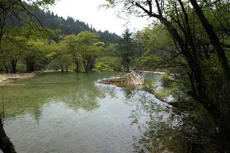 2所攀枝花招专科生的学校，分数线多少？