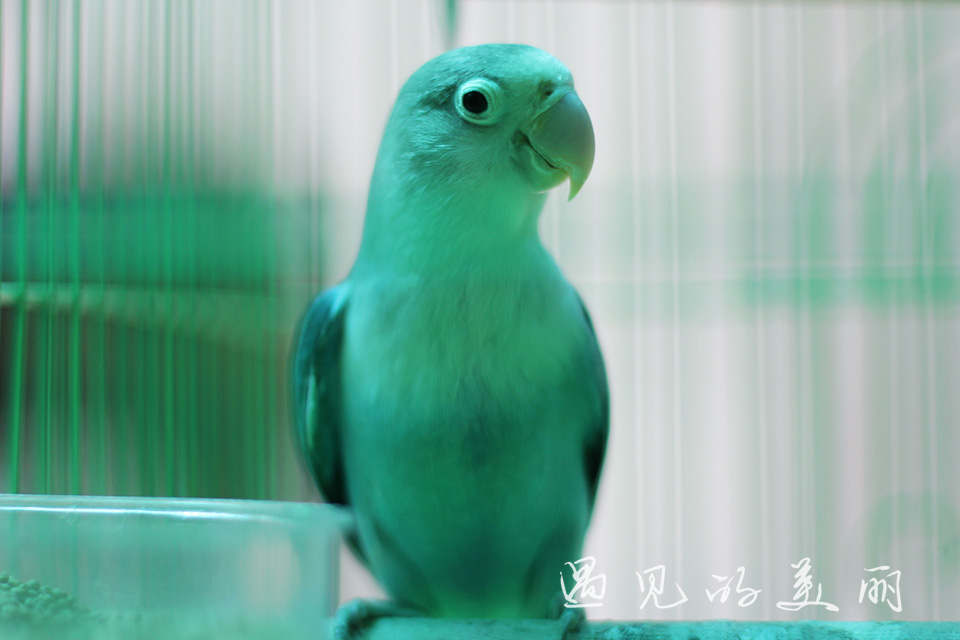 桂林阳朔3天两夜自驾游攻略,桂林阳朔3天2夜自驾游攻略